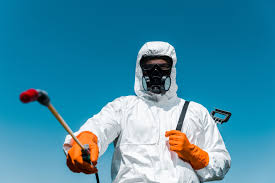 Best Termite Inspection and Treatment  in Trail Creek, IN